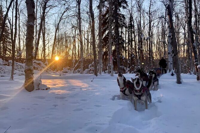 Signature Ridge Top Mush - Price, Value, and Booking Considerations