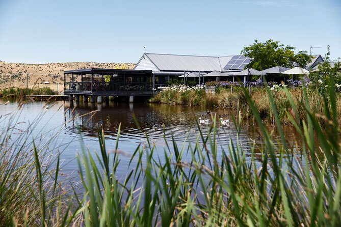 Signature Saturday Wine Tour - Who Is This Tour Best For?