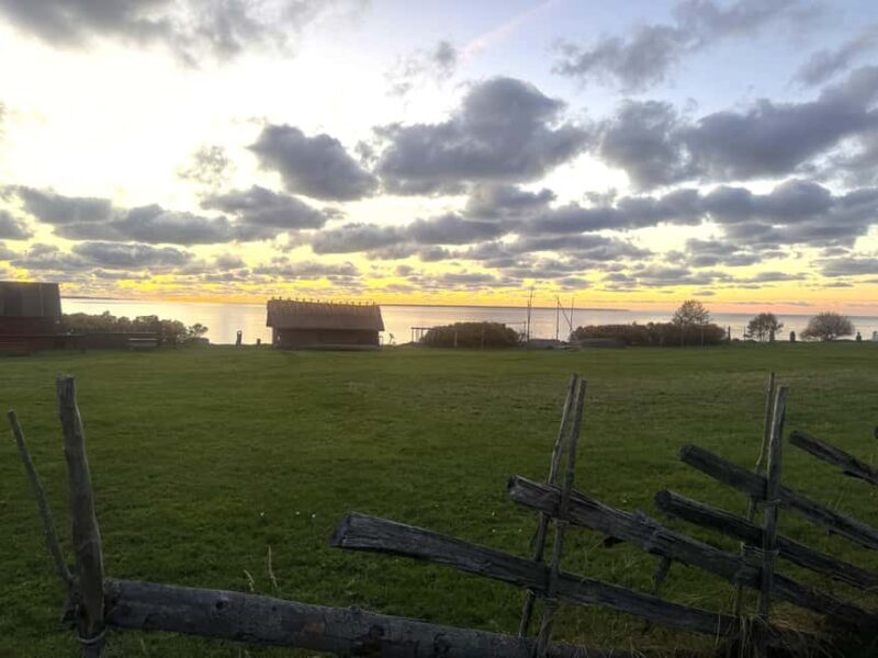 Signature Tallinn Heritage Tour for Cruisers - Who This Tour Is Perfect For