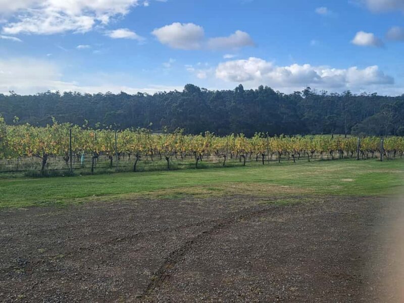 Signature Wine Tour - Hobart & SE Tasmania - Why This Tour Stands Out