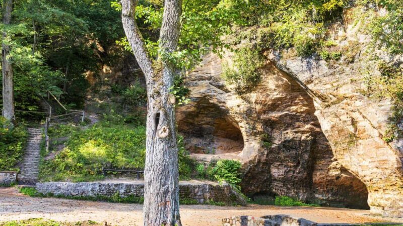 Sigulda: Top Sights & Wine Tasting  Shared/Private - Who Will Love This Tour?