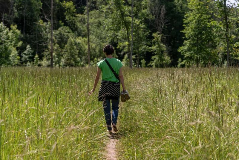 Sigulda: Walk in Gauja National Park with Photoghrapher - What to Expect from the Gauja National Park Photowalk