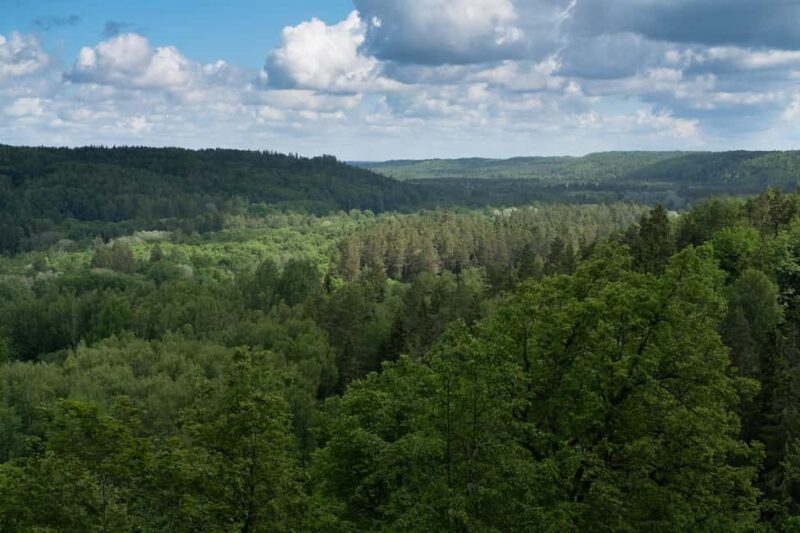 Sigulda: Walk in Gauja National Park with Photoghrapher - Practical Details: What It Means for You