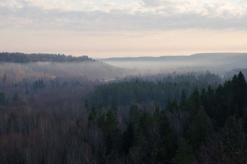 Sigulda: Walk in Gauja National Park with Photoghrapher - FAQs