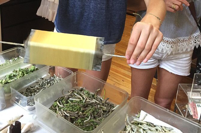 Silk Tour in Lyon - Final Thoughts: Is This Tour for You?