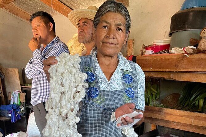 Silkworm and Maguey in the Sierra Norte - Key Points