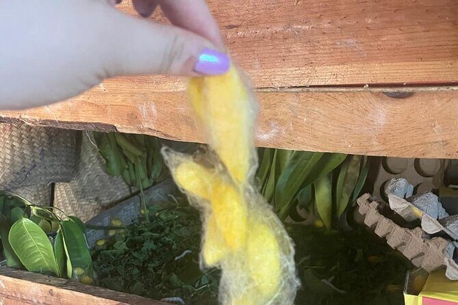 Silkworm and Maguey in the Sierra Norte - A Detailed Look at the Tour Experience