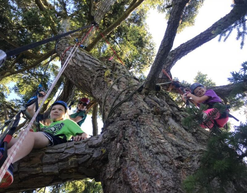 Silver Falls: Old-Growth Tree Climbing Adventure - Frequently Asked Questions