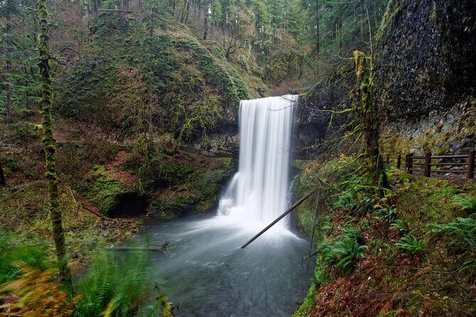Silver Falls Private Hike Tour - Why Consider a Private Guided Tour of Silver Falls?