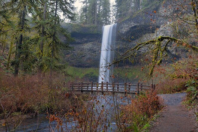 Silver Falls Private Hike Tour - Who Will Love This Experience?