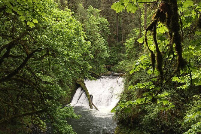 Silver Falls Waterfall Hiking Tour from Portland - What’s Included and What You’ll Need to Consider