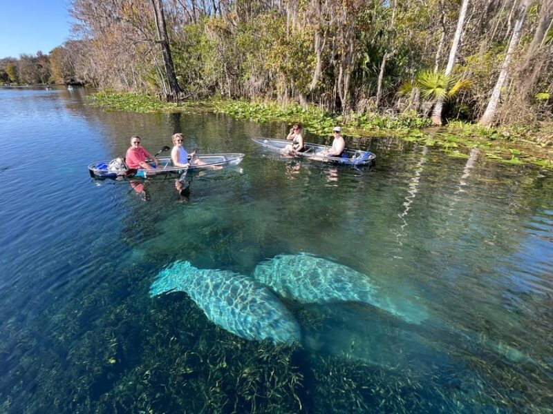 Silver Springs: Clear Kayak Manatee Season Tour - What You Need to Know Before Booking