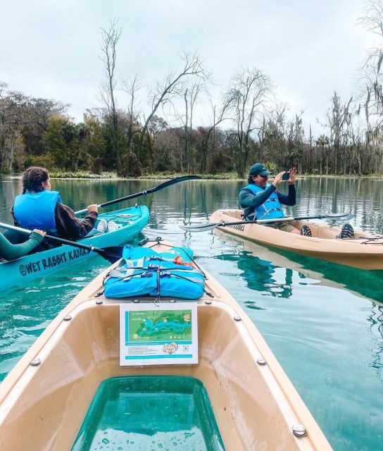 Silver Springs: Glass Bottom Kayak and Wildlife Tour - An Introduction to the Tour Experience
