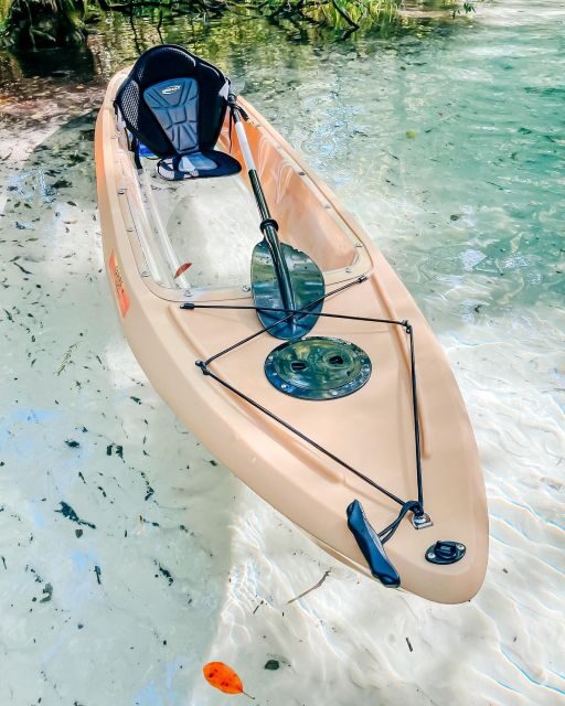 Silver Springs: Glass Bottom Kayak and Wildlife Tour - Who Will Love This Tour?