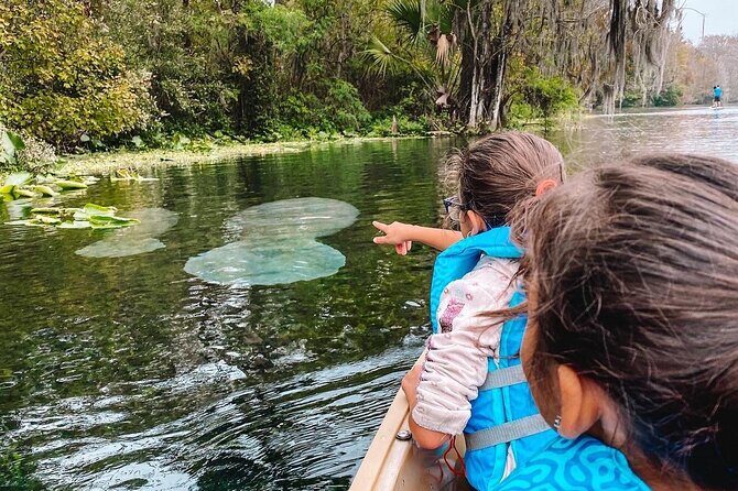 Silver Springs - Glass Bottom Kayak Rental - Who Should Consider This Tour?