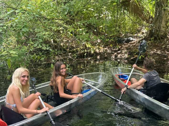 Silver Springs: Guided Clear Kayak or Paddleboard Gator Tour - What to Expect from the Silver Springs Tour