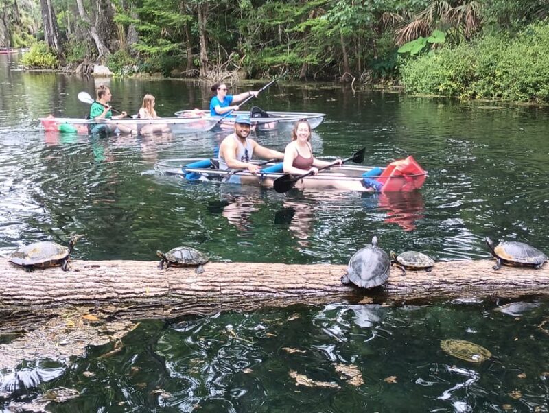 Silver Springs: Guided Clear Kayak or Paddleboard Gator Tour - FAQ