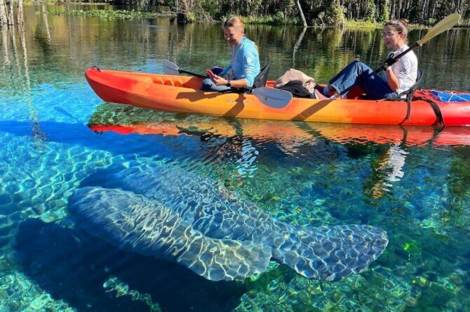 Silver Springs Jungle Kayaking and Paddleboarding - The Experience from a Traveler’s Perspective