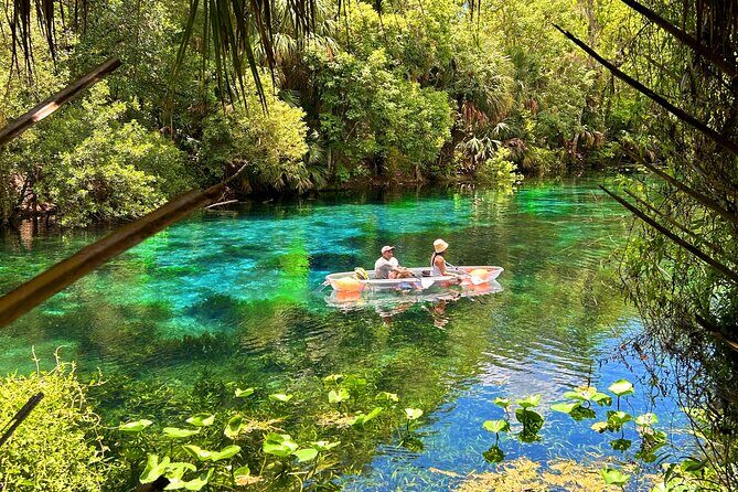 Silver Springs Jungle Kayaking and Paddleboarding - Practical Details & Tips