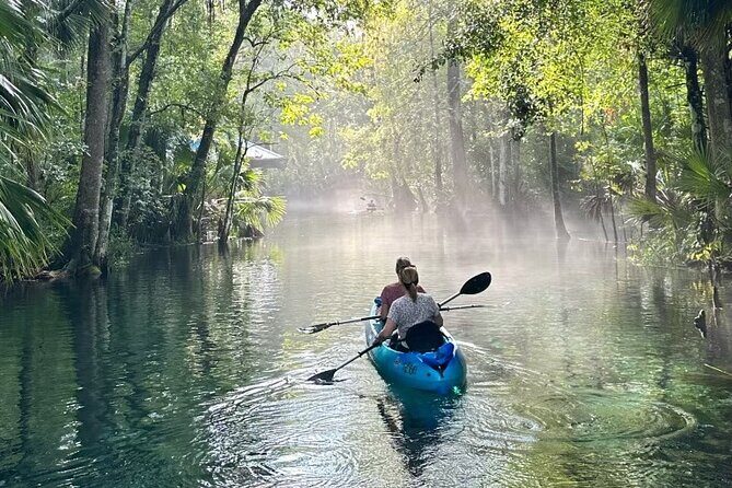 Silver Springs Kayak Rental - The Best Florida Adventure - The Paddle Experience – What You’ll See