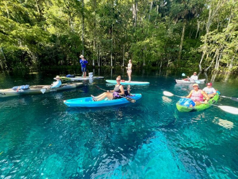 Silver Springs: Manatees and Monkeys Clear Kayak Guided Tour - The Sum Up