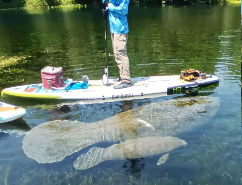 Silver Springs: Manatees and Monkeys Clear Kayak Guided Tour - FAQ