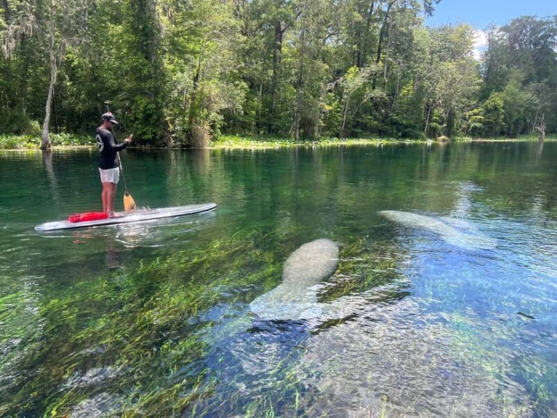 Silver Springs: Manatees, Monkeys, and Natural Spring Tour - FAQ