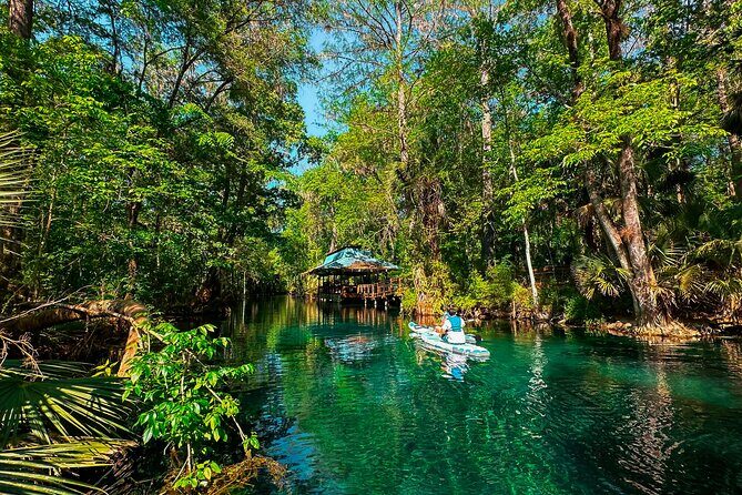 Silver Springs Paddle Adventure - What to Expect During the Tour