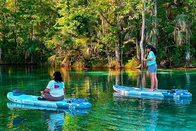 Silver Springs Paddle Adventure - Who Would Love This Tour?