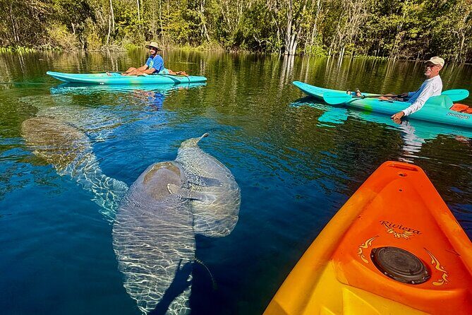 Silver Springs Premium Florida Wildlife Experience! - What Makes This Tour Special?