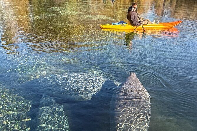 Silver Springs Premium Florida Wildlife Experience! - Who Will Love This Tour?