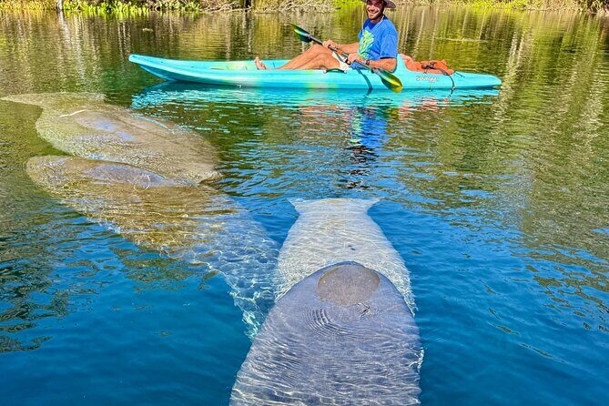 Silver Springs Premium Florida Wildlife Experience! - Frequently Asked Questions