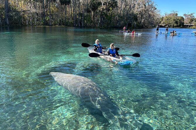 Silver Springs Self Guided Clear Kayak Rentals - Key Points