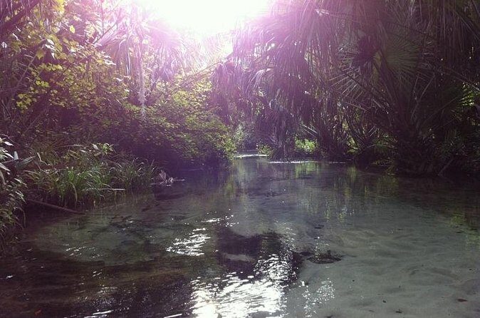 Silver Springs Self Guided Clear Kayak Rentals - Cost and Value