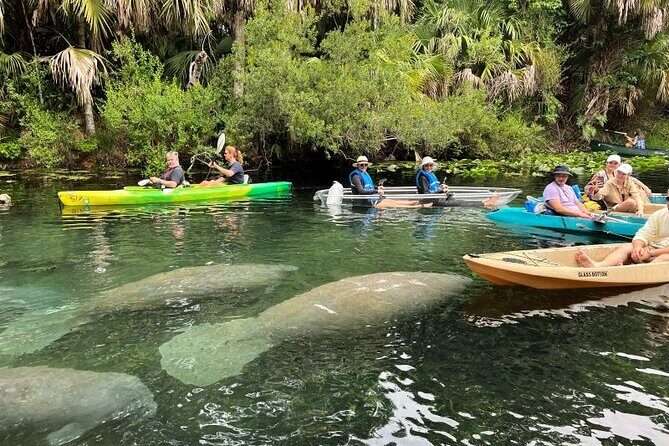 Silver Springs Self Guided Clear Kayak Rentals - Who Is This Tour Best For?