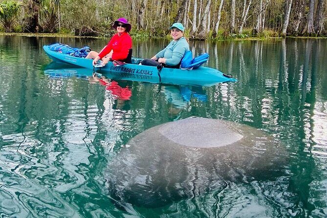 Silver Springs Wildlife Tour - Glass Bottom Kayaks - FAQ