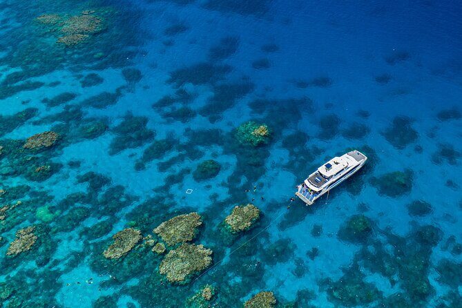 Silverswift Dive and Snorkel Great Barrier Reef Cruise - Setting the Scene: What the Tour Offers
