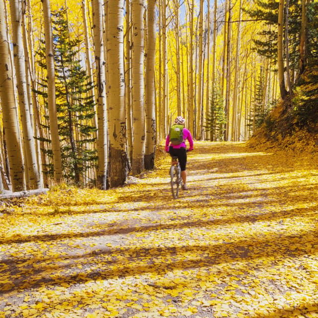 Silverthorne: Mountain Bike Ride Salt Lick Trails - Practical Details