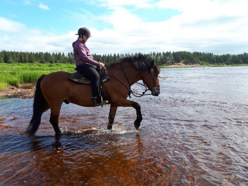 Simo: Horseback Riding Tour - Key Points