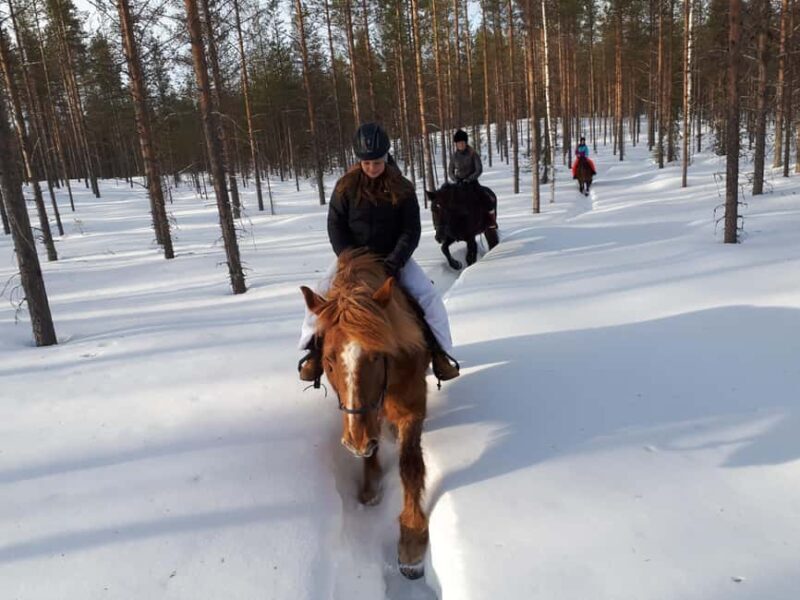 Simo: Horseback Riding Tour - Exploring the Experience in Depth