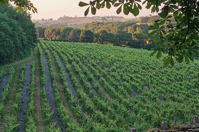 Simple Visit to Discover the Domaine d'Arton - Practical Details to Keep in Mind