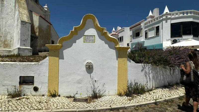 Sines and Porto Covo: discover Costa Vicentina with a local - An in-depth look at the experience