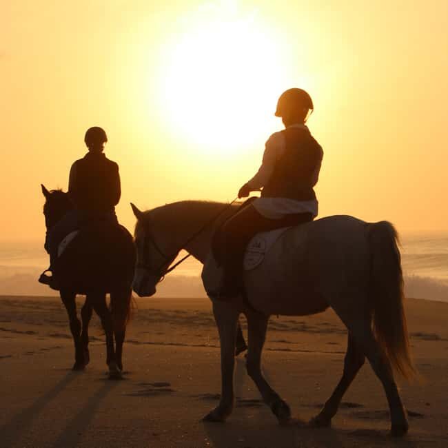 Sines: Horseback Riding on a Beach with Portuguese Horses - Key Points
