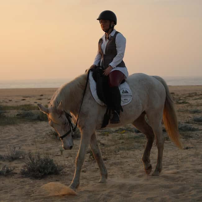 Sines: Horseback Riding on a Beach with Portuguese Horses - What to Expect from the Horseback Riding Tour Near Sines