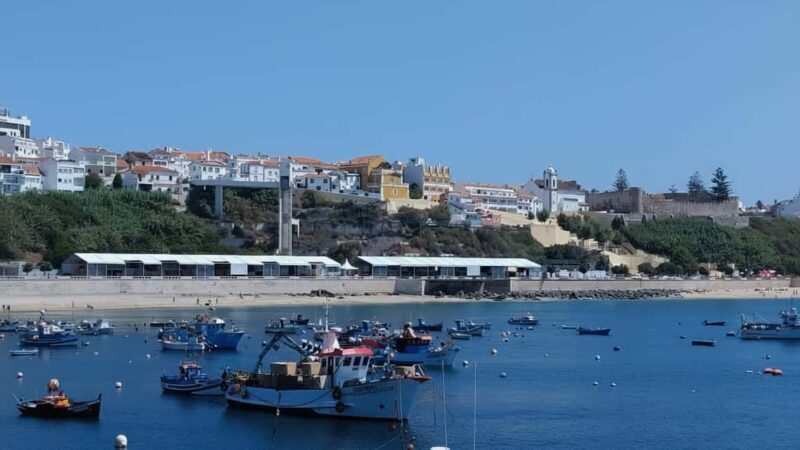 Sines: Premium Guided Tour, Vasco da Gama, Forts, and Deserted Beaches - Key Points