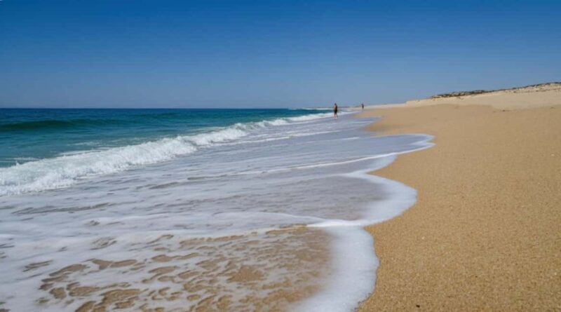 Sines: Premium Guided Tour, Vasco da Gama, Forts, and Deserted Beaches - What We Think: The Value and Who It’s Best For