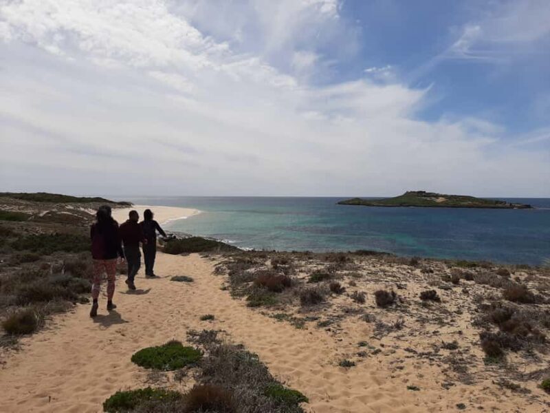 Sines: Private Guided Hike in the Costa Alentejana - What to Expect on Your Sines: Private Guided Hike in the Costa Alentejana