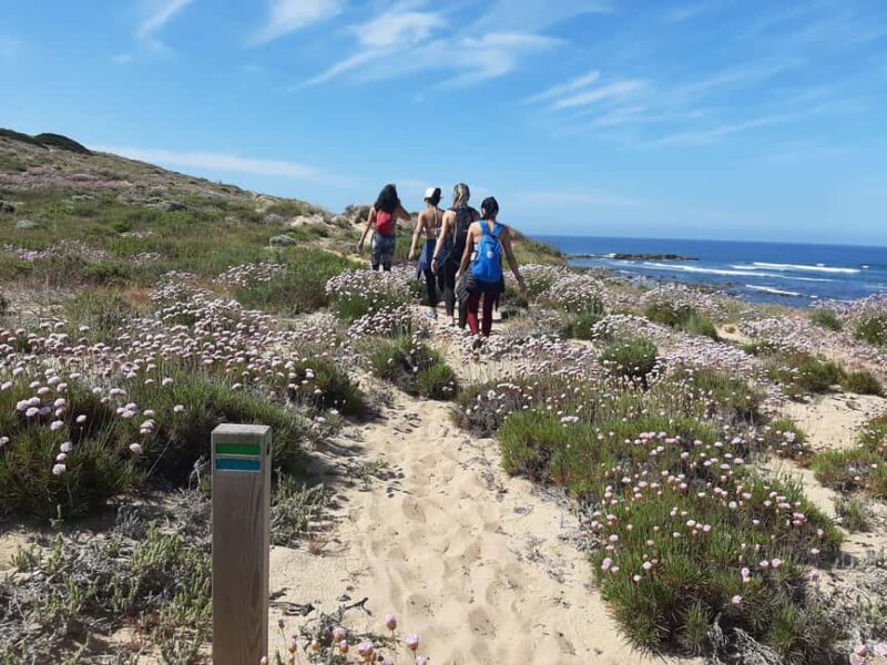 Sines: Private Guided Hike in the Costa Alentejana - Exploring Porto Covo: The Hidden Gem