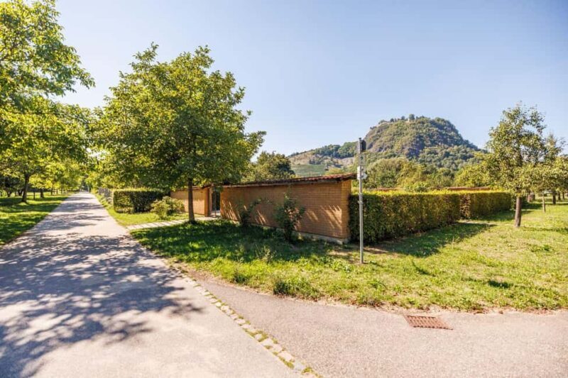 Singing: Guided herb tour "Wild herbs on the banks of the Aa" - What You Can Expect from the Tour