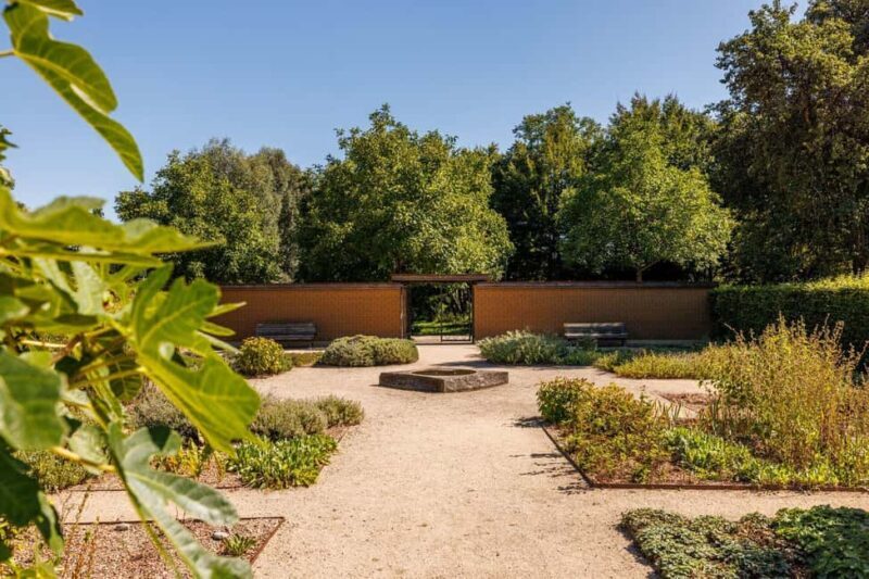 Singing: Guided herb tour "Wild herbs on the banks of the Aa" - How the Experience Stacks Up